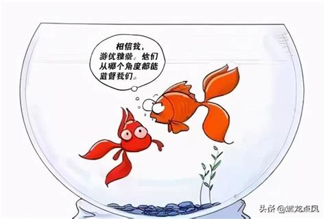 金魚缸效應行政學|金魚缸效應：公務員的挑戰